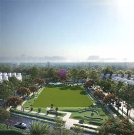 overview image